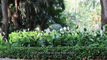 Free download [Creative Assignment] - Nguyen Hoang Bao Anh video and edit with RedcoolMedia movie maker MovieStudio video editor online and AudioStudio audio editor onlin